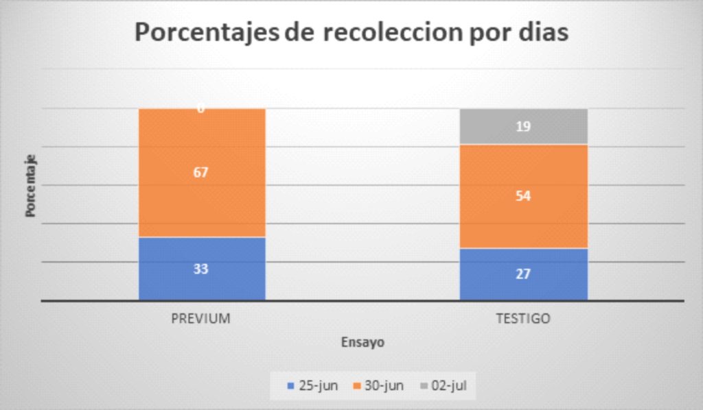 Resultados Previum